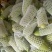 山东绿皮西葫芦0.6以上！质量保证欢迎咨询！