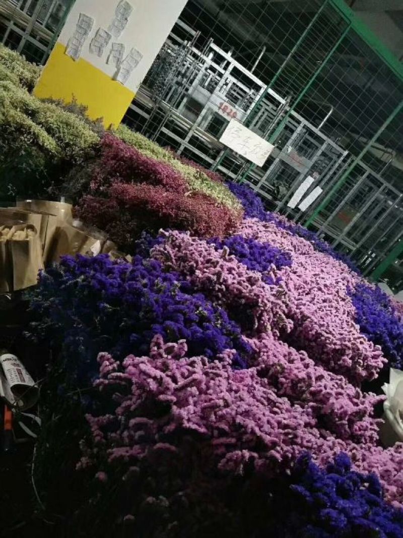 勿忘我