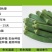 黄秋葵种子95%以上