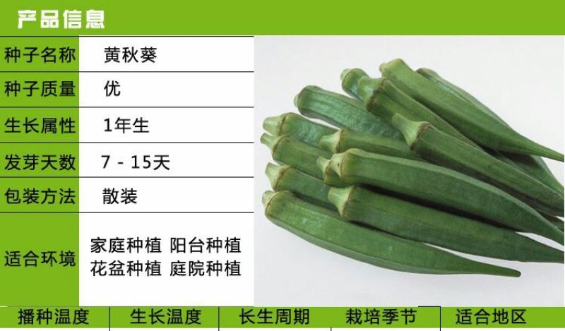 黄秋葵种子95%以上