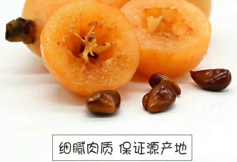 解放钟枇杷0.4两以上