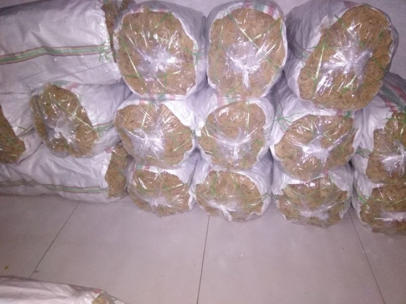 龙须菜嫩