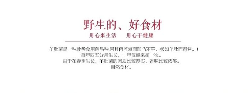羊肚菌一级品