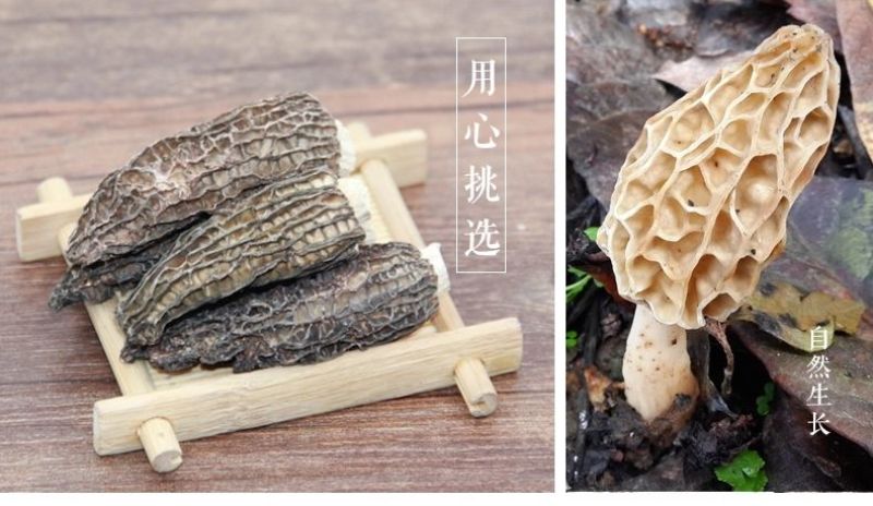 羊肚菌一级品