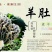 羊肚菌一级品