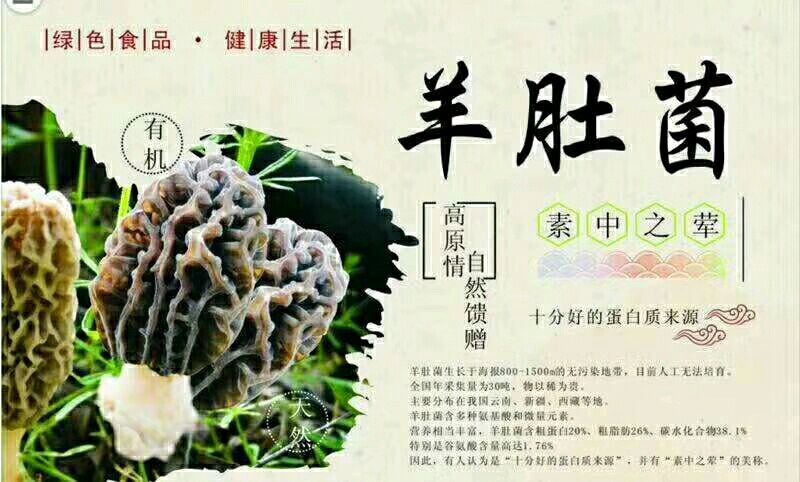 羊肚菌一级品