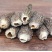 羊肚菌一级品