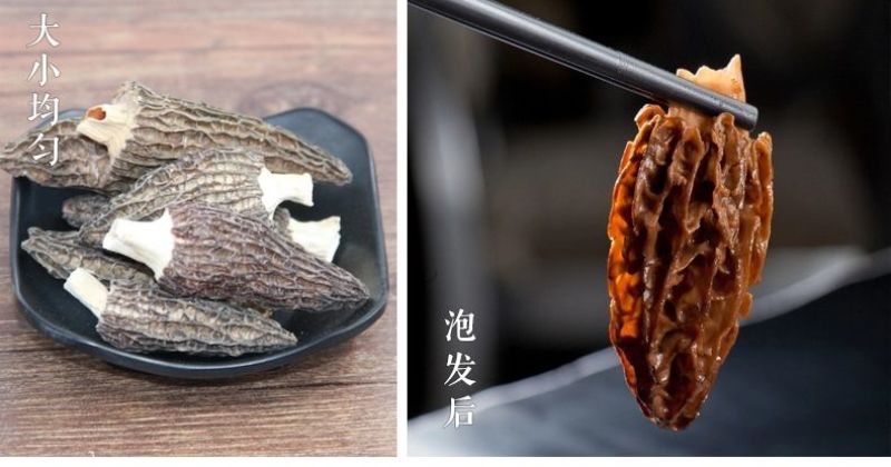 羊肚菌一级品