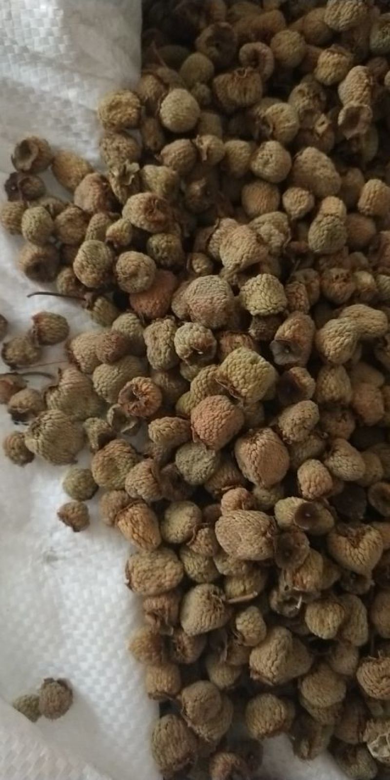 覆盆子