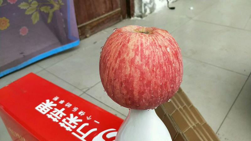 精品万荣纸加膜红富士苹果，产地货源，可视频看货。