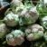 陕西菜花，白花花菜，汉中菜花1~3斤紧花瓷实乳白来电优惠