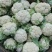 陕西菜花，白花花菜，汉中菜花1~3斤紧花瓷实乳白来电优惠