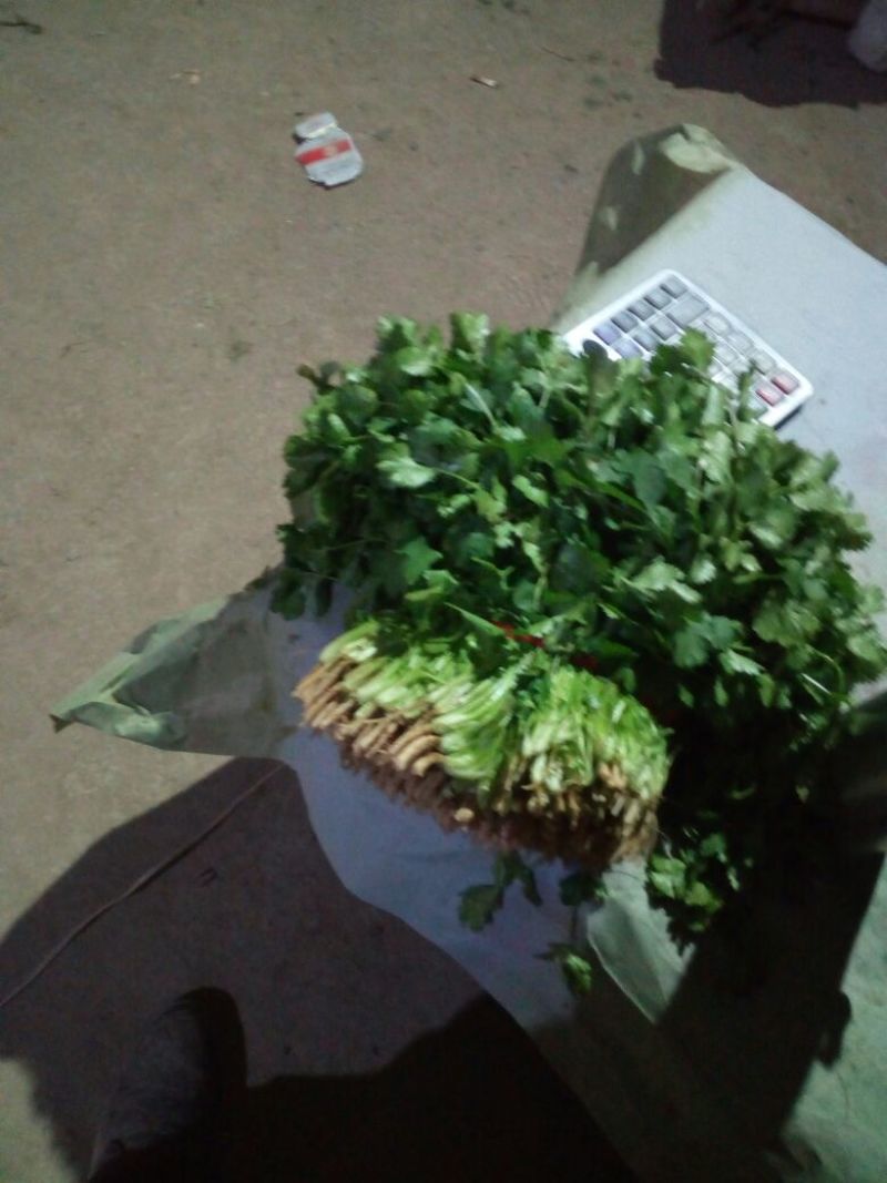 黑叶菠菜20至25公分