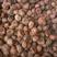 魔芋种子一代种二代种基地供应，技术指导成品回收