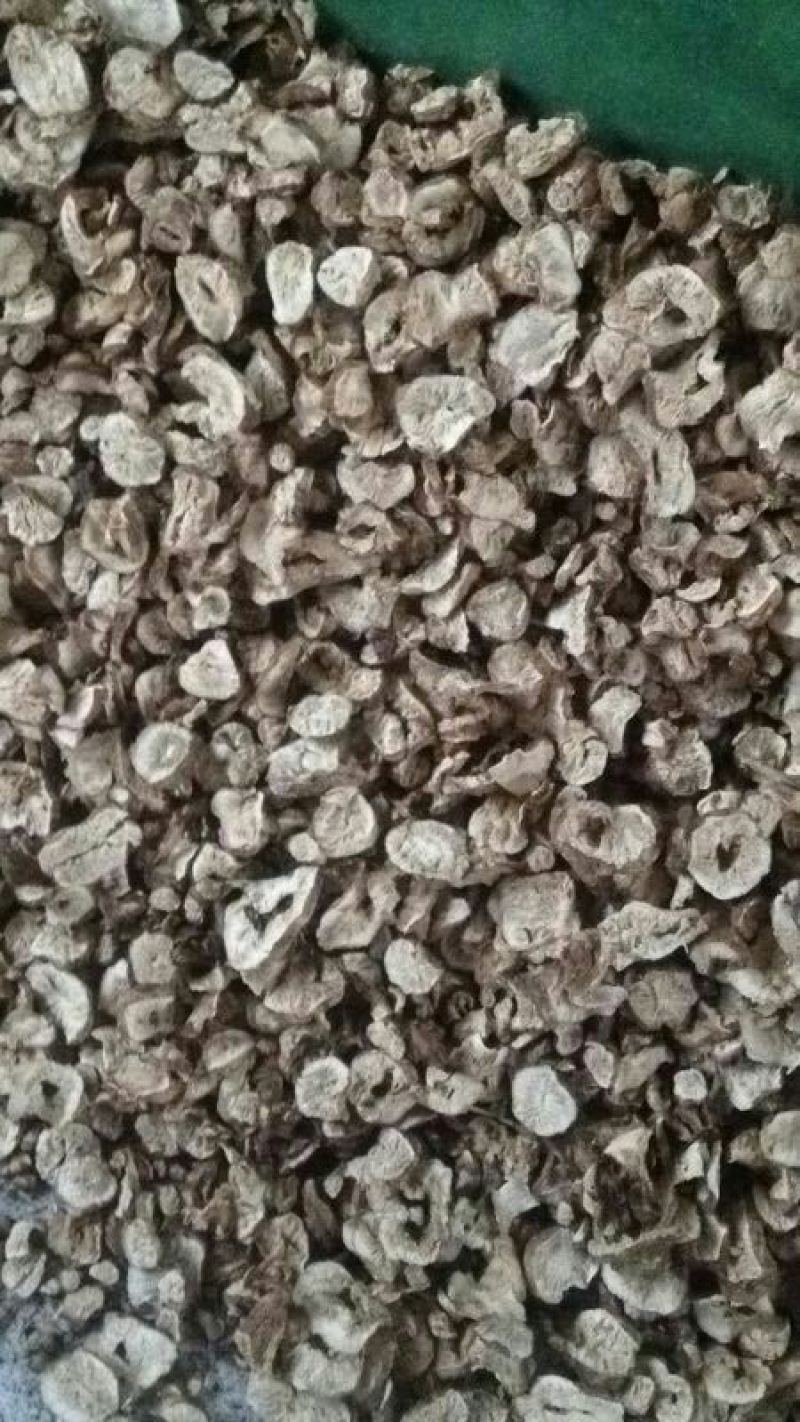 菊苣根分为两种一种是出菜的另外一种是做加工的