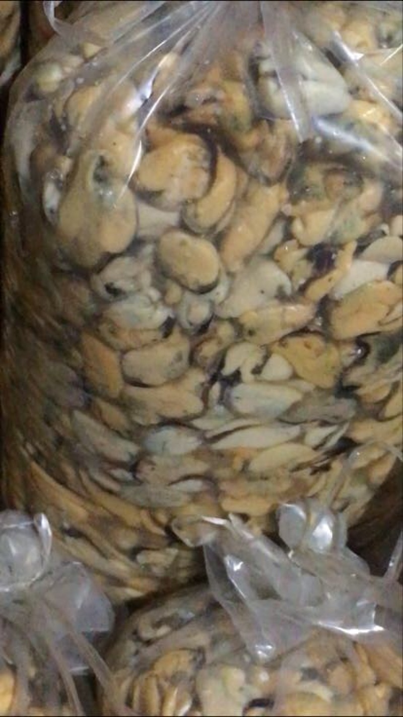 淡菜食用冰冻