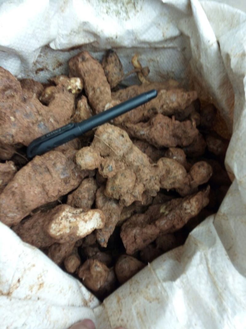 土茯苓统个