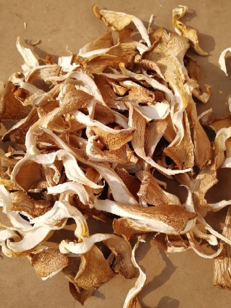 干平菇平菇干食用菌干蘑菇凤尾菇鲍鱼菇