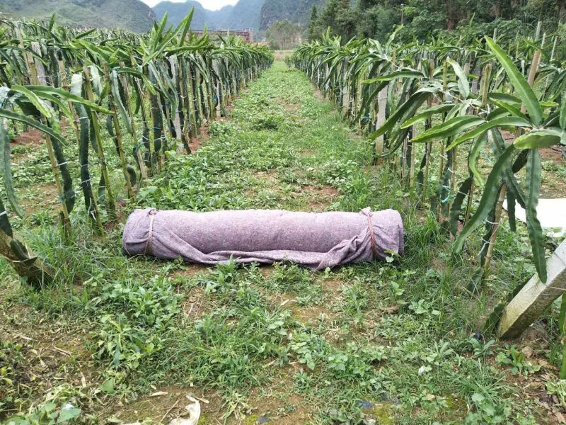 厂家低价直供无纺布公路养护毛毡运输方便