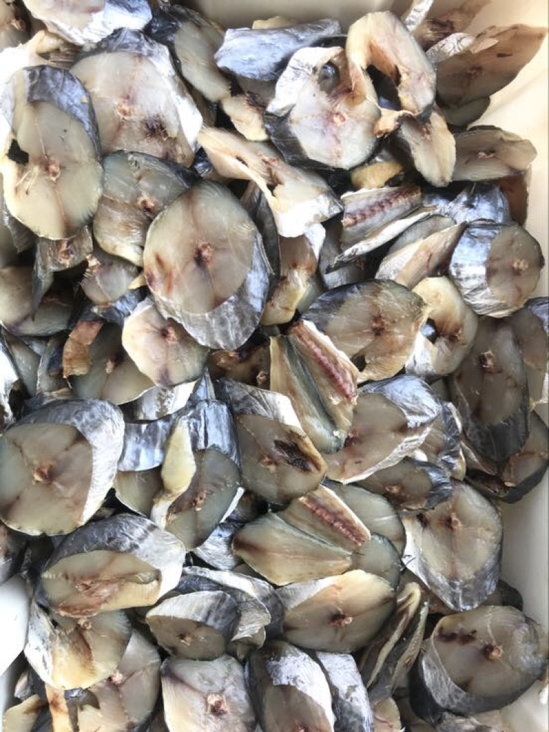 马鲛鱼