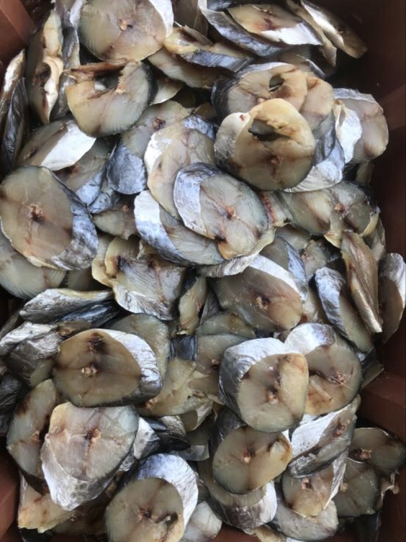 马鲛鱼