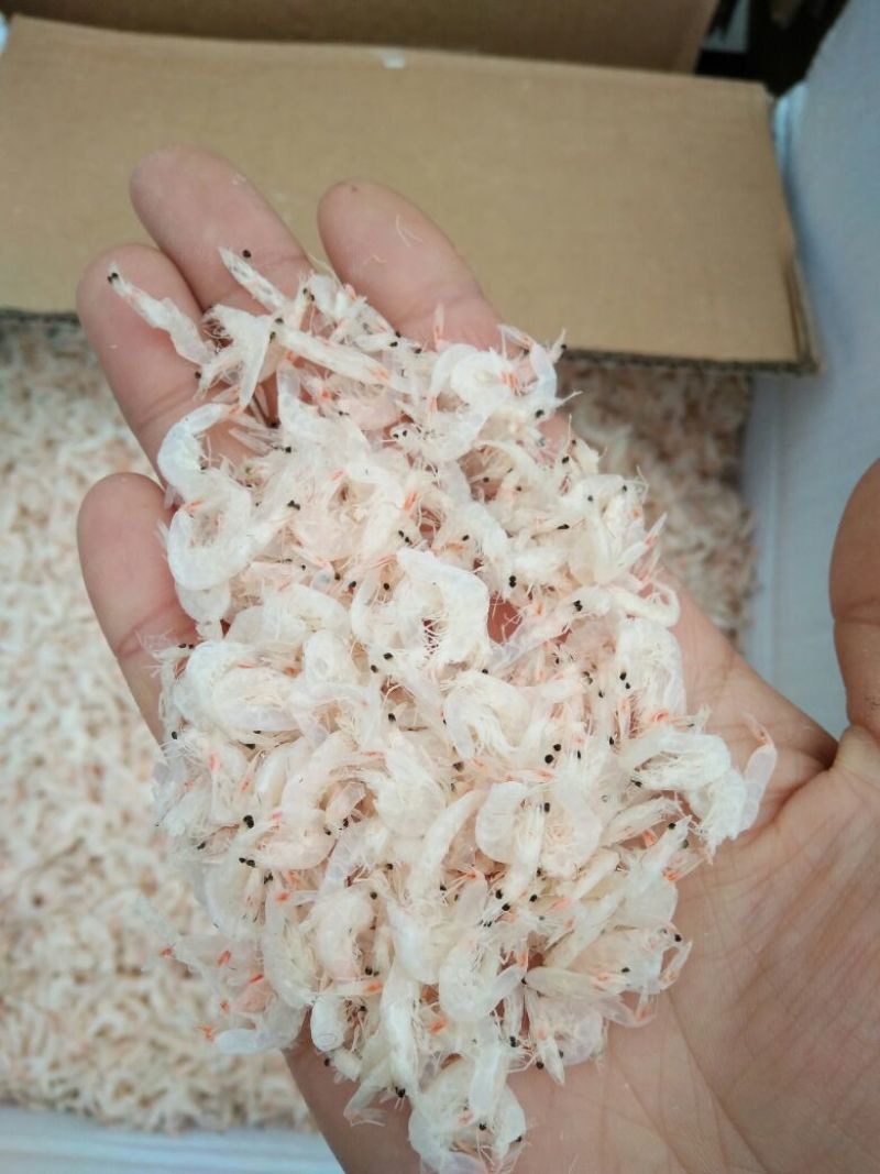 虾皮一级