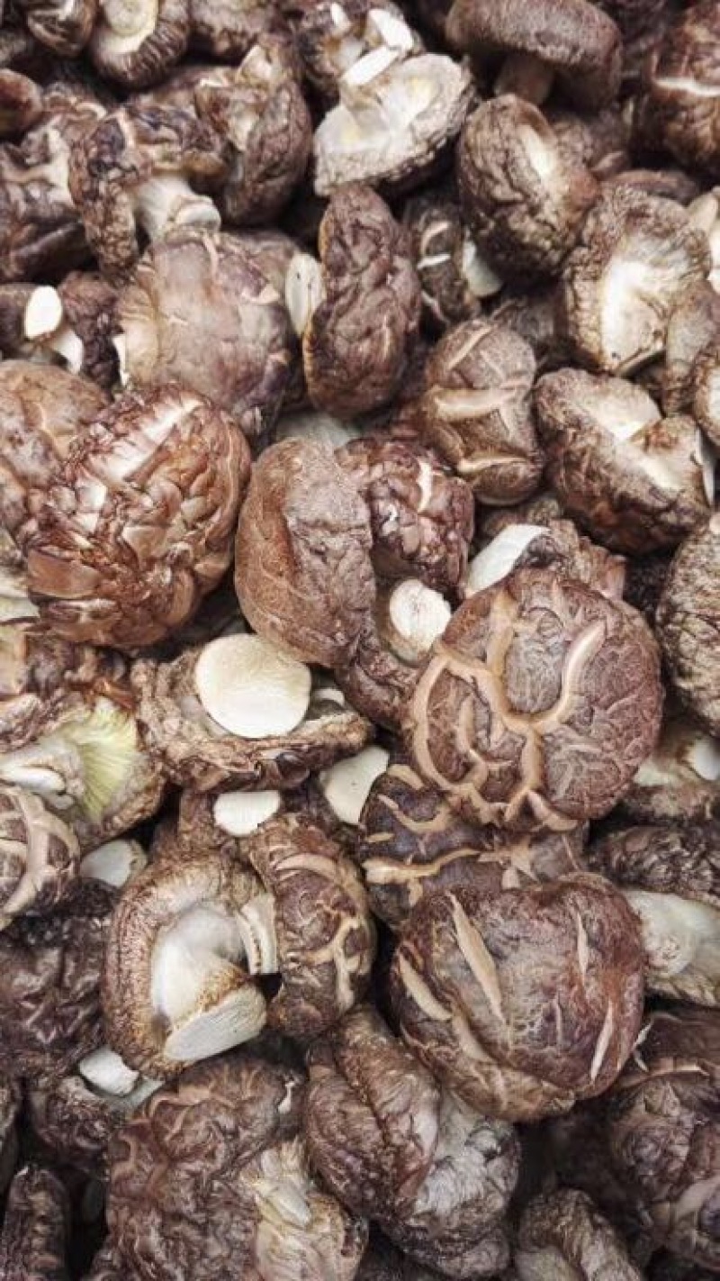 茶花菇光面干香菇以质论价冬菇肉厚自产自销