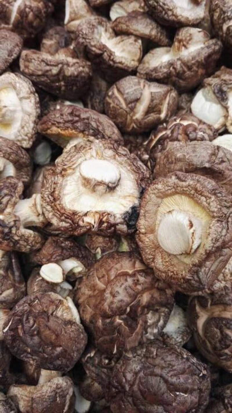 茶花菇光面干香菇以质论价冬菇肉厚自产自销