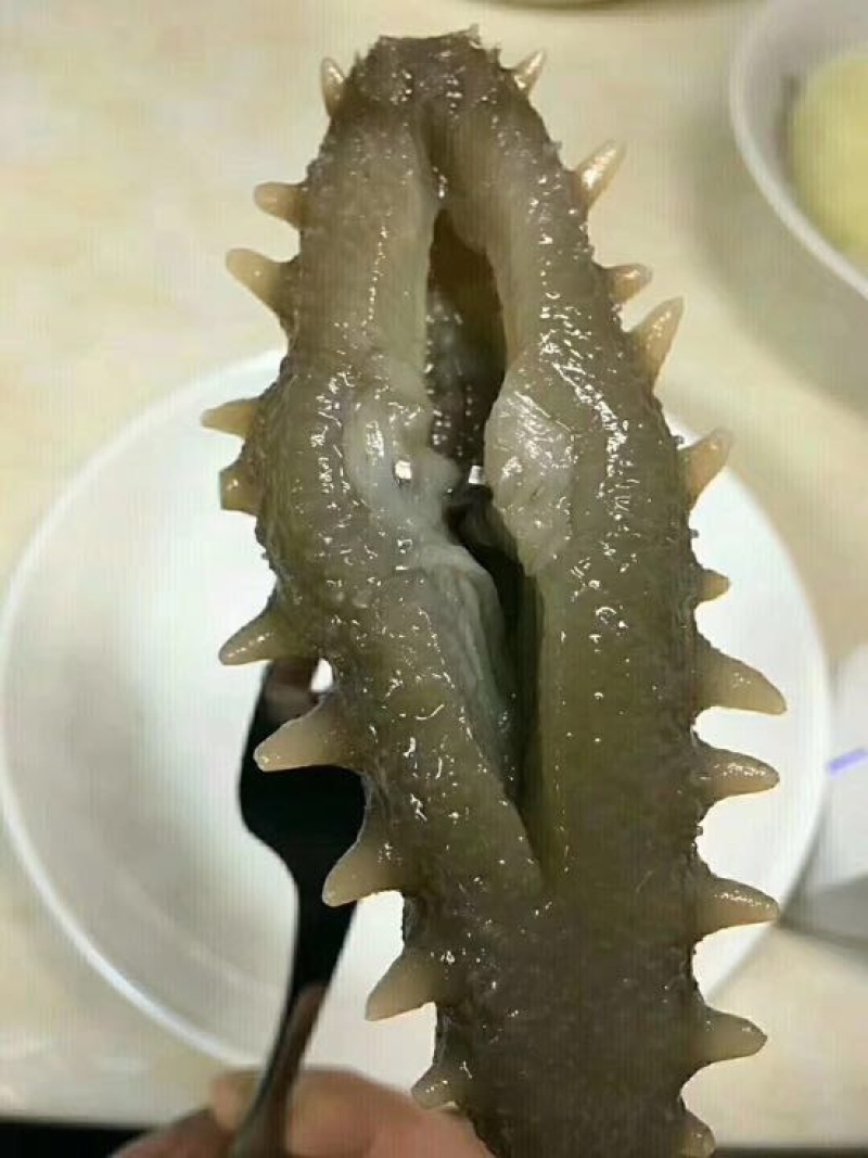 海刺参产地直供非偏远地包邮