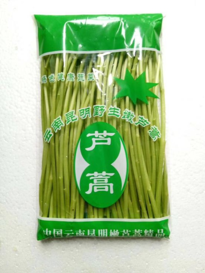 芦篙