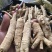 西洋参西洋参长支，东北长白山特产，花旗参，礼盒参