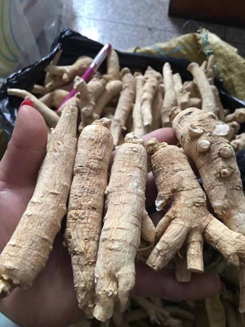 西洋参西洋参长支，东北长白山特产，花旗参，礼盒参