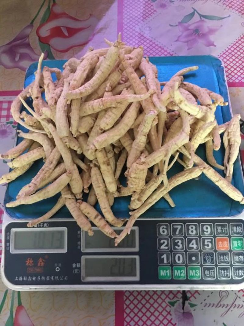 西洋参西洋参长支，东北长白山特产，花旗参，礼盒参