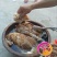 青脚土鸡苗35~45克出壳苗雌
