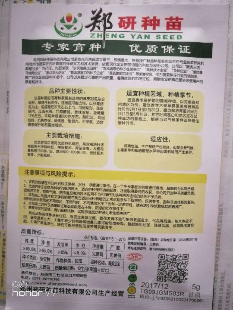 甜瓜种子
