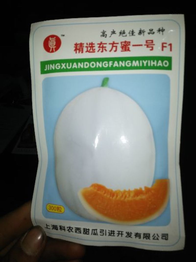新东方蜜一号甜瓜种子