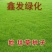 狗牙根种子高羊茅结缕草早熟禾种