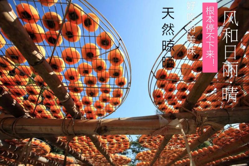 柿饼特级柿饼/一件代发