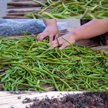 薇菜山野菜