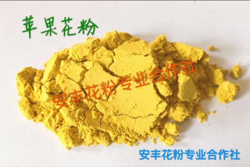 苹果花粉活性授粉花粉