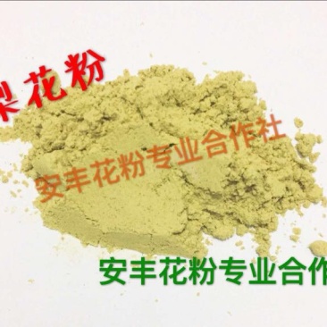 梨花粉活性大梨花花粉