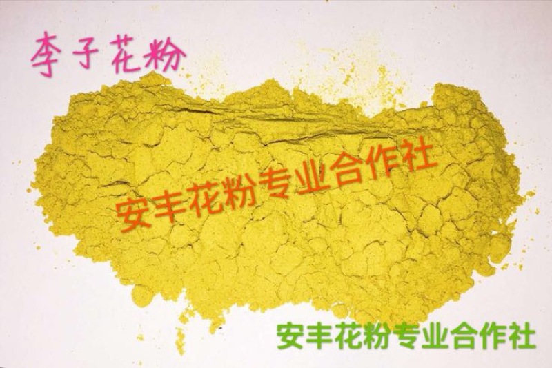 梨花粉活性大梨花花粉
