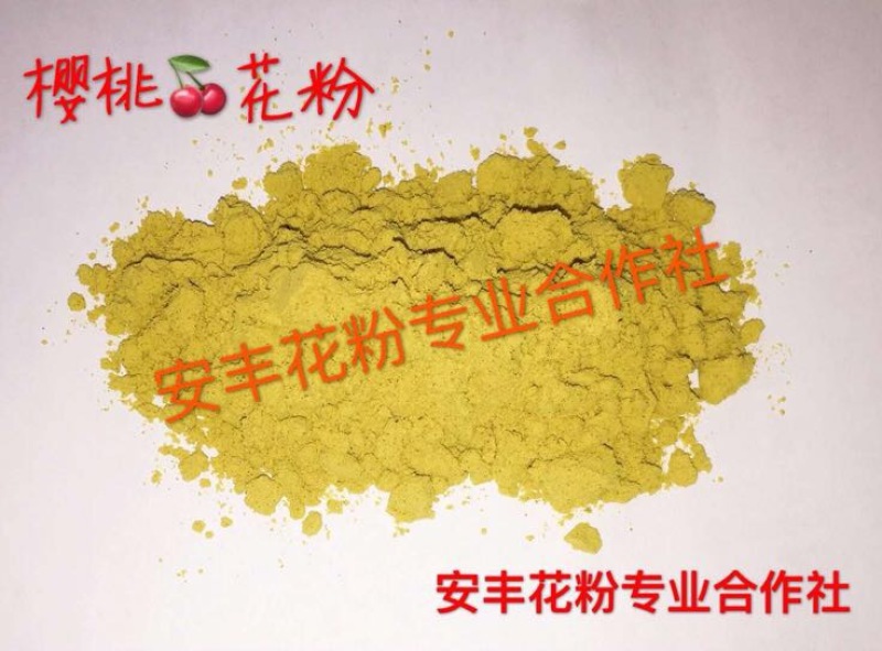 梨花粉活性大梨花花粉