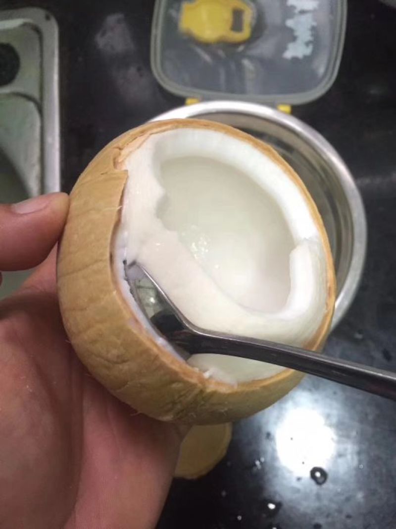 椰皇泰国香椰皇非海南椰