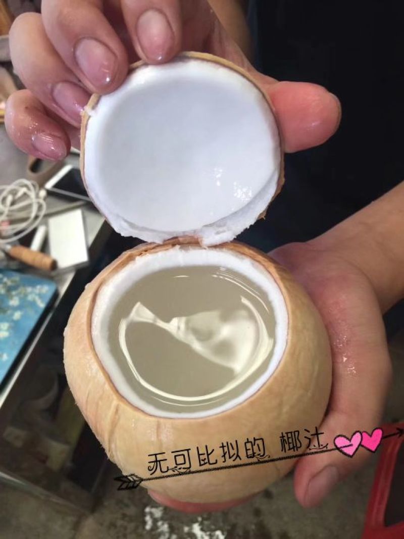 椰皇泰国香椰皇非海南椰