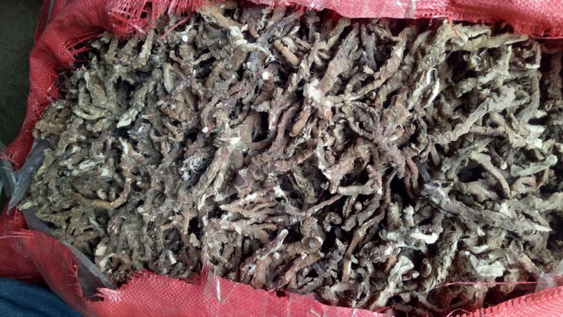 石菖蒲中选条