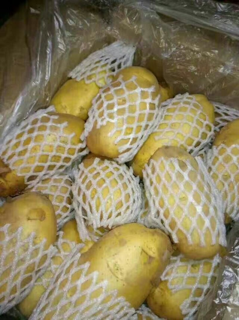 《荷兰十五土豆》品种规格齐全*电商市场代存代发
