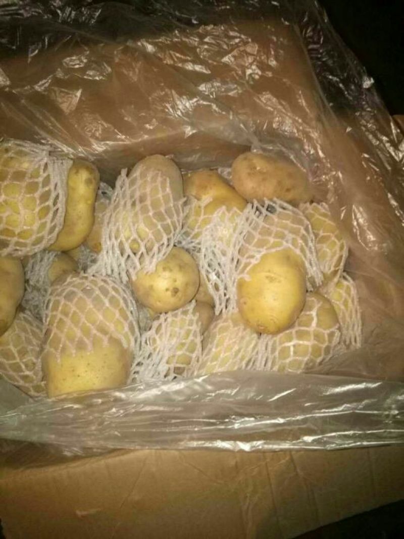 《荷兰十五土豆》品种规格齐全*电商市场代存代发