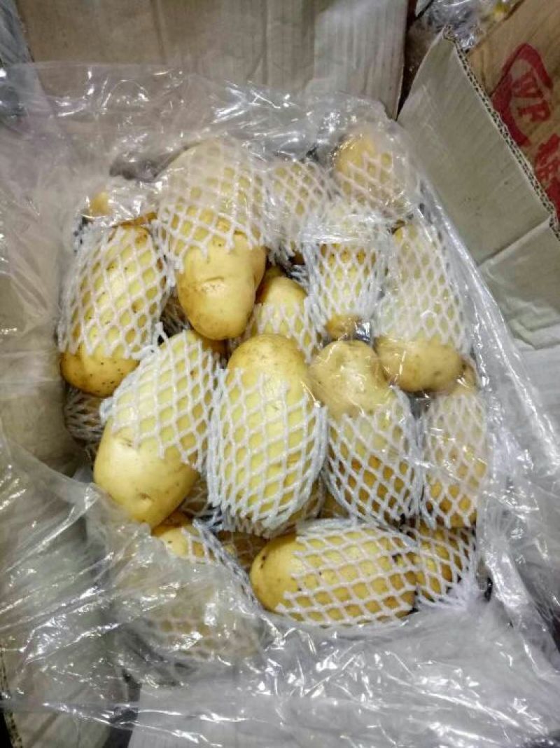 《荷兰十五土豆》品种规格齐全*电商市场代存代发
