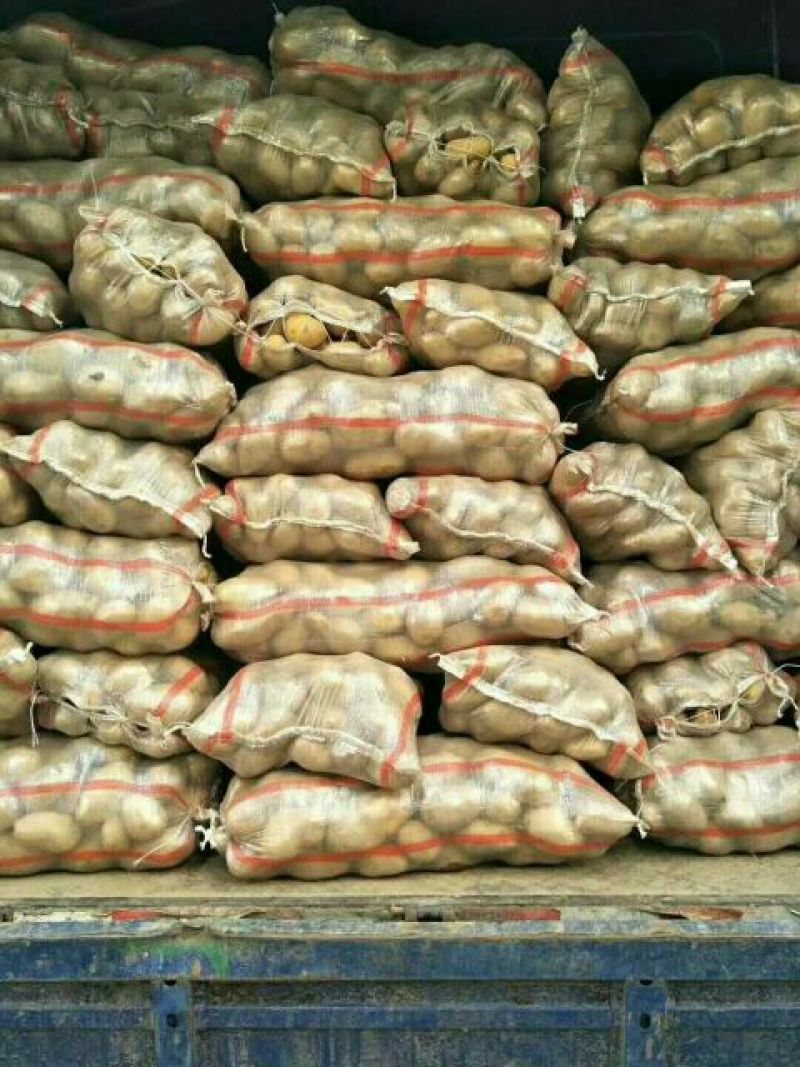 《荷兰十五土豆》品种规格齐全*电商市场代存代发